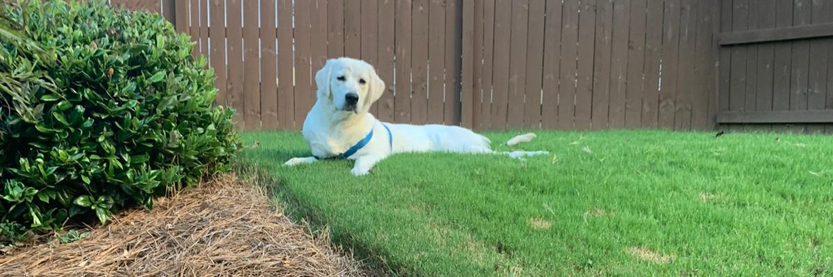 Shruly's profile banner image