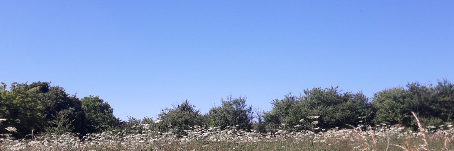 Robertscarrott's profile banner image