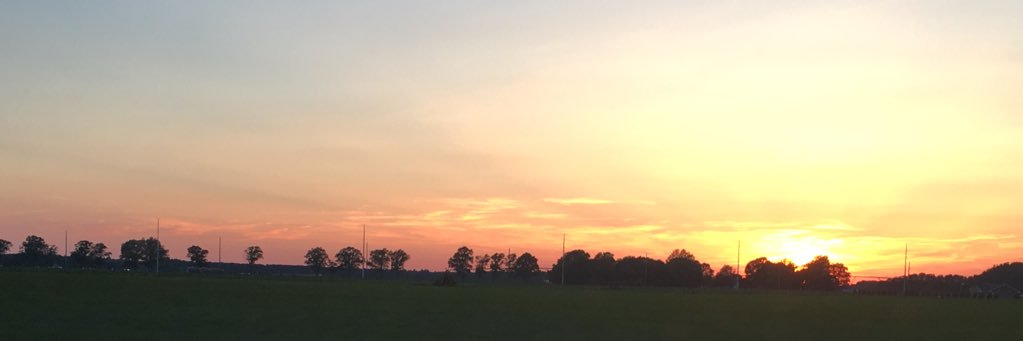 shandelous's profile banner image