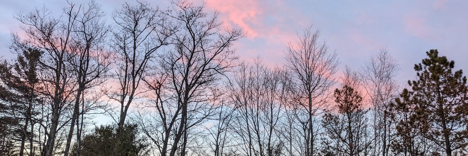 leslieinglis's profile banner image