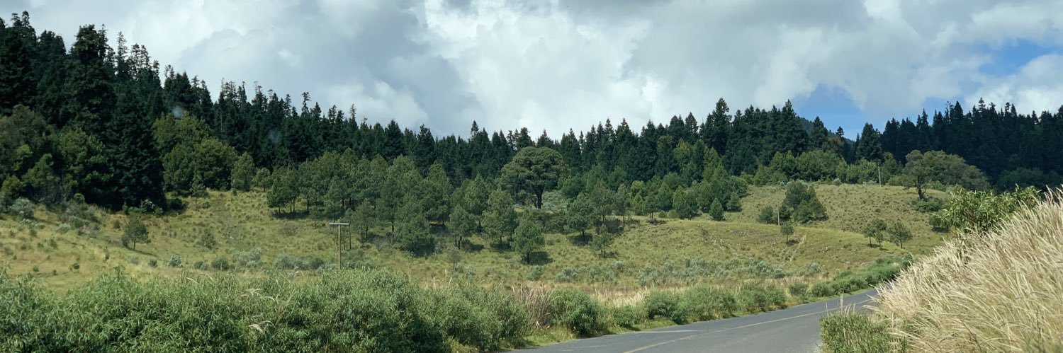 Antoinette_LS85's profile banner image