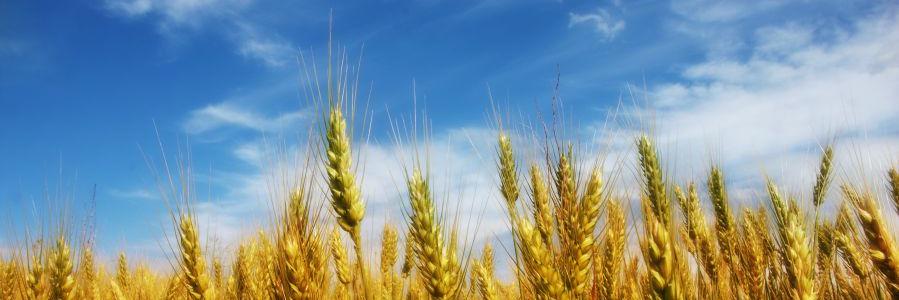 ArthurBretonnet's profile banner image