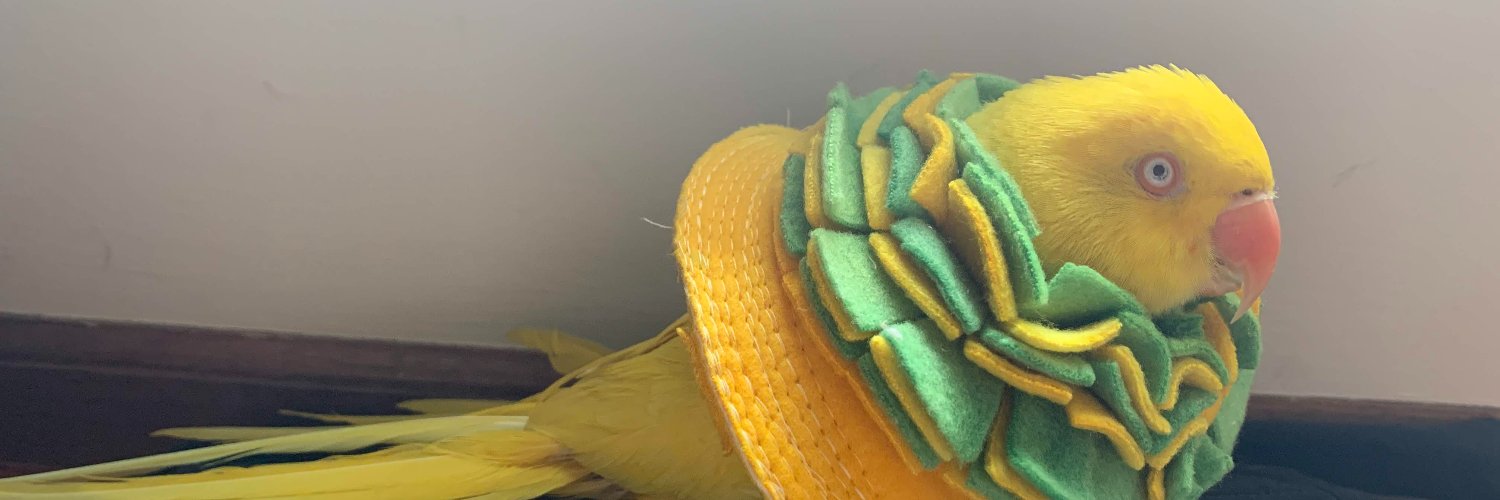 FeudWithFood's profile banner image