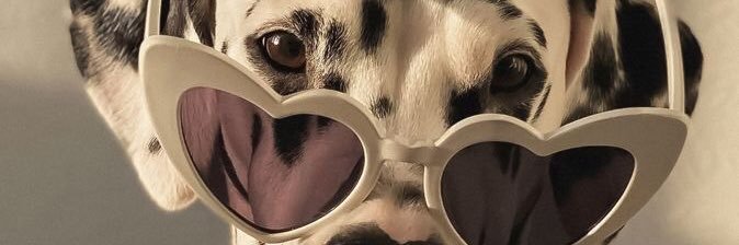 haydeeamorim's profile banner image