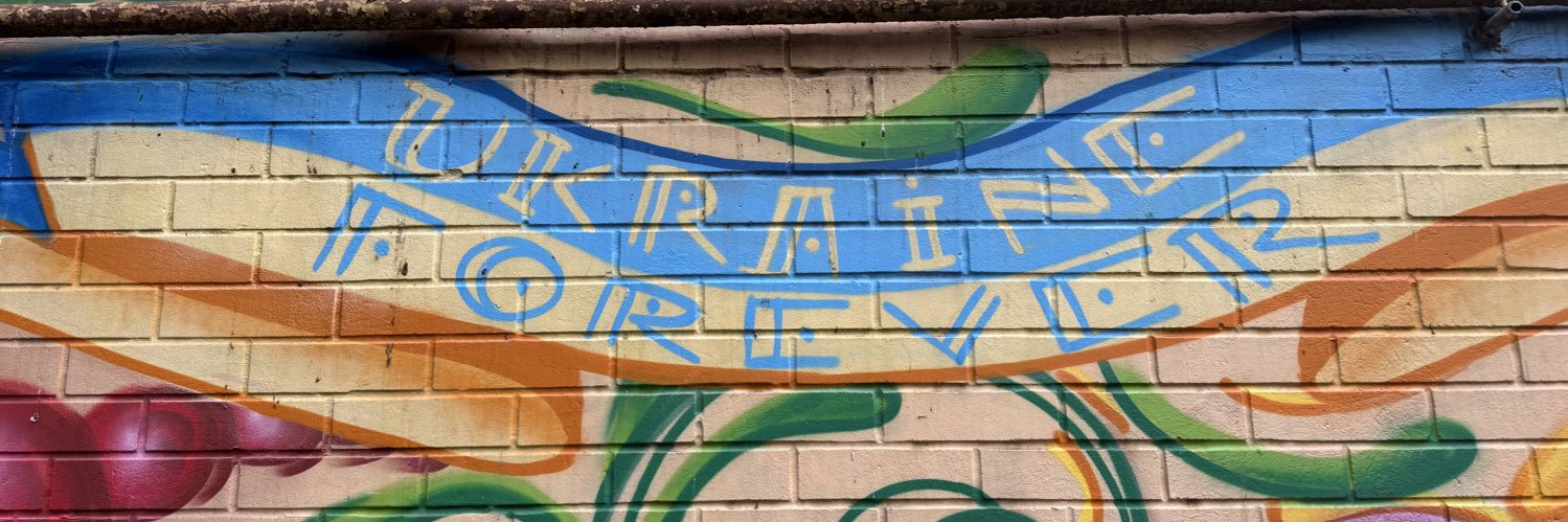 wessel de jong banner