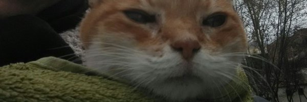 Nhowali Profile Banner