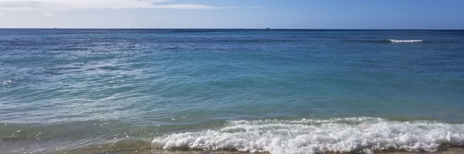 LauraM62's profile banner image