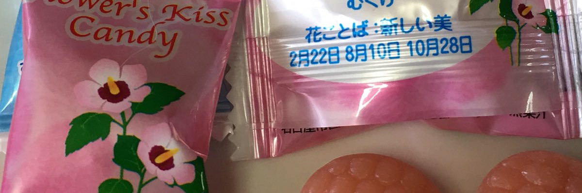 鈴木バイソンJr. banner