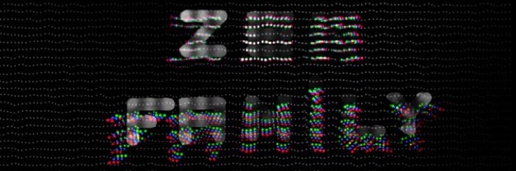 kingzerofficiel's profile banner image