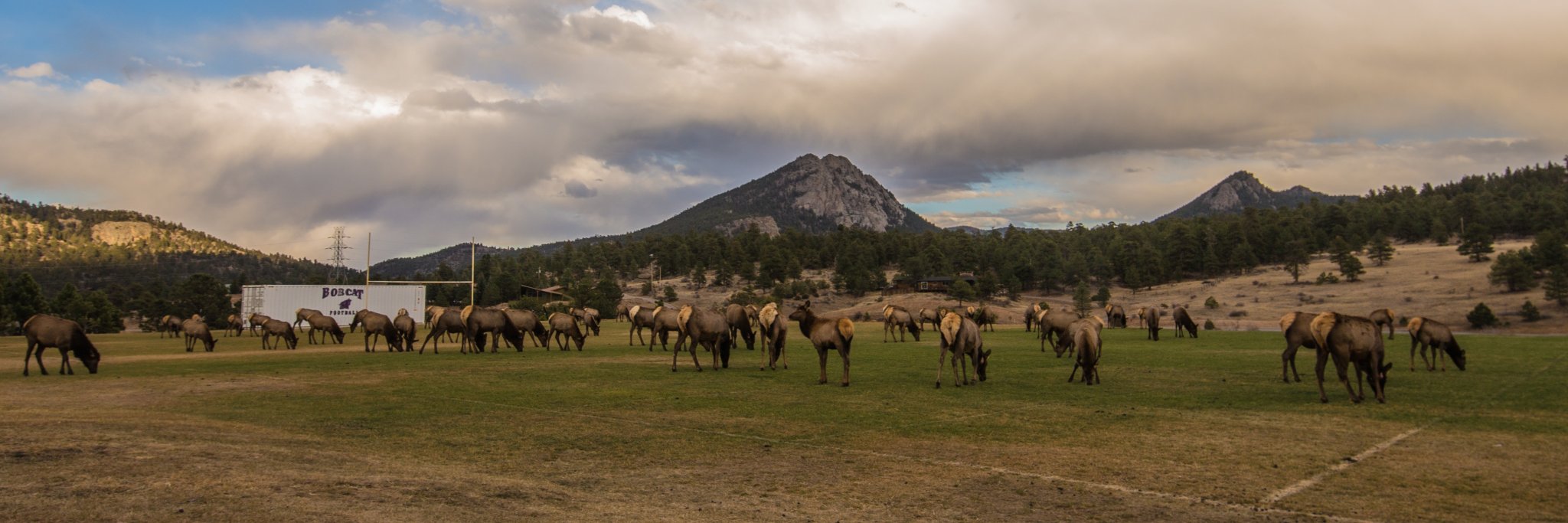 Estes Park Schools banner