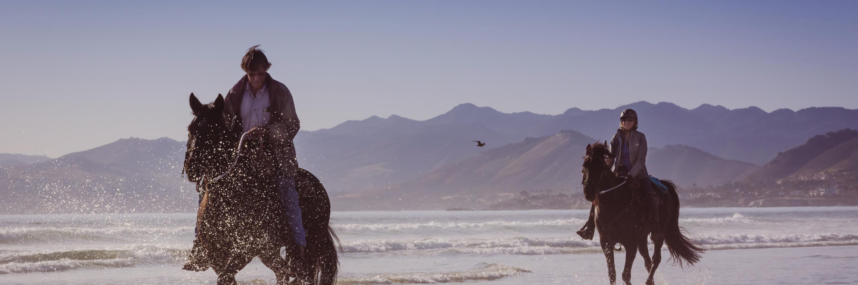 slohn's profile banner image