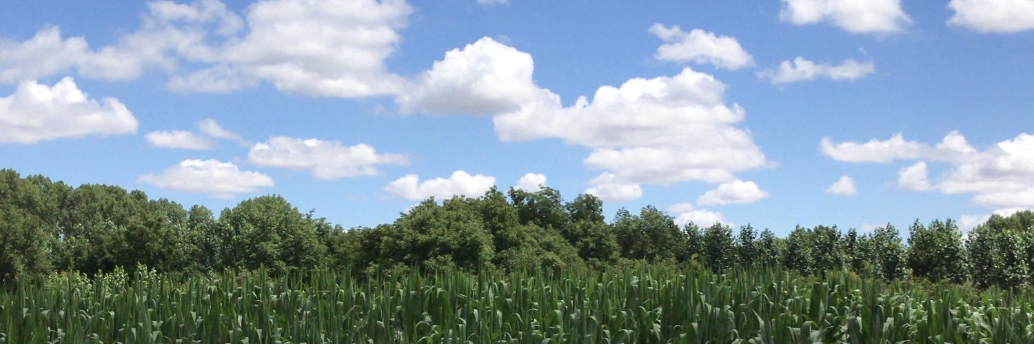 yeyeyerman's profile banner image