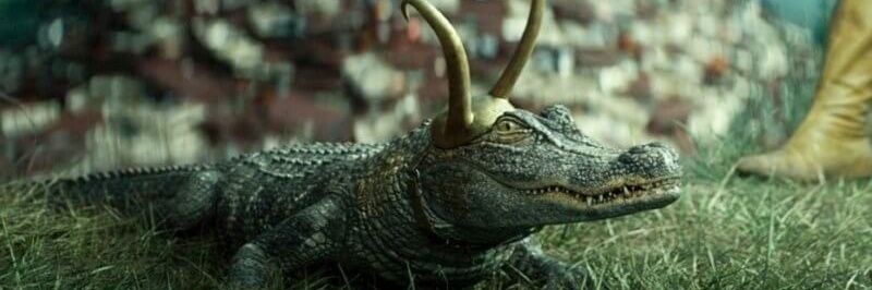 Millennial Hag banner