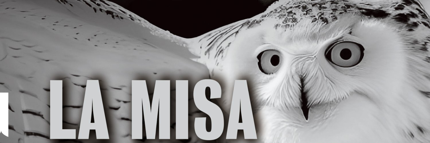 Metalúcida banner