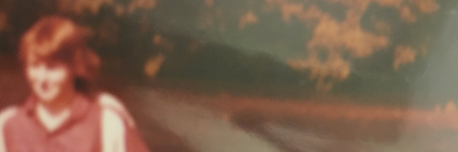 anncariad's profile banner image