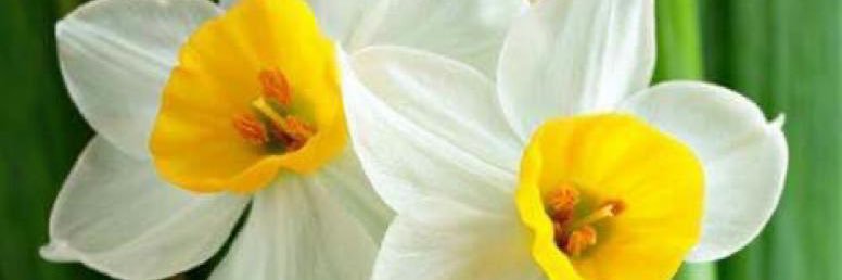 sdfgrff's profile banner image