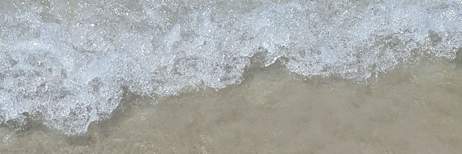 nasheta's profile banner image