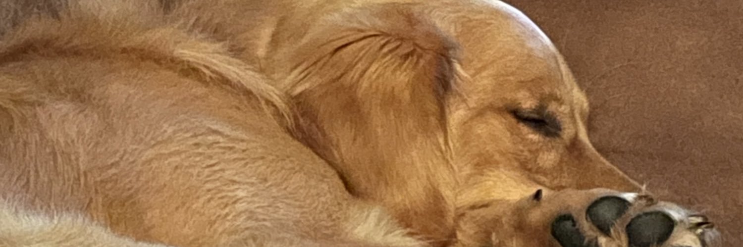 Jakehendy123's profile banner image