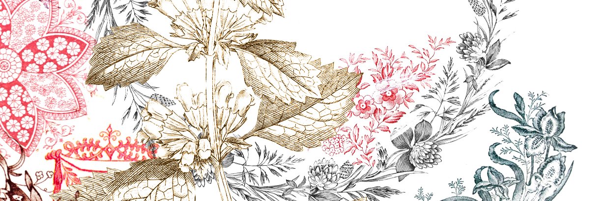 JMShafes's profile banner image