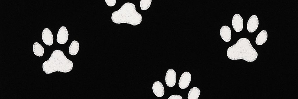 entropyaddicted's profile banner image