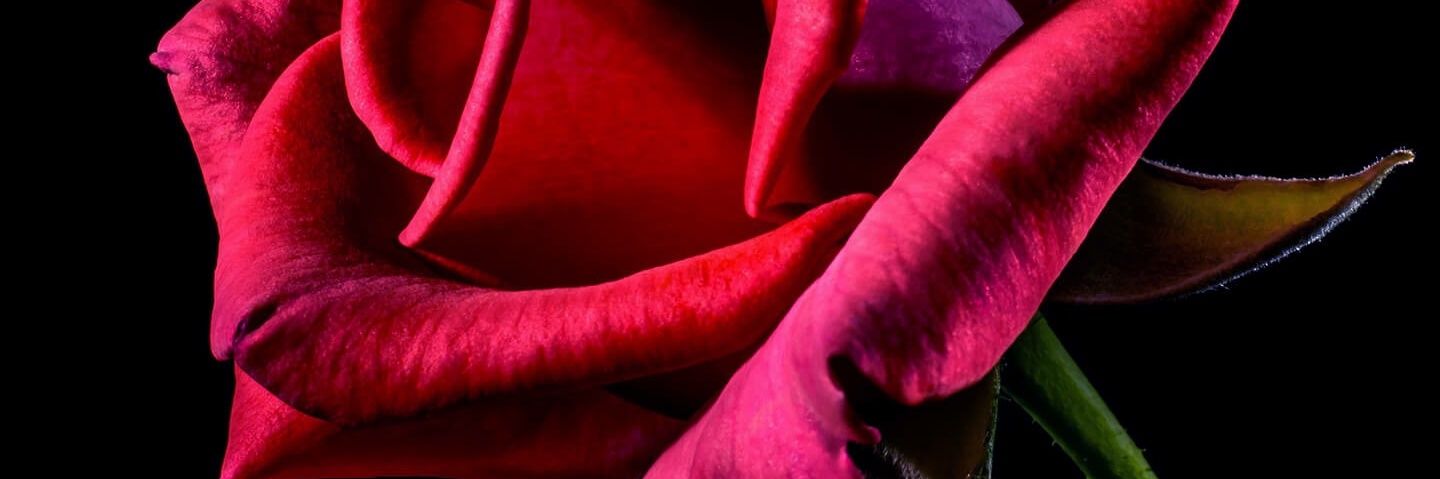 CondadoMandi's profile banner image