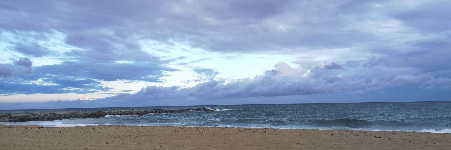 Joan LLuis Balague banner