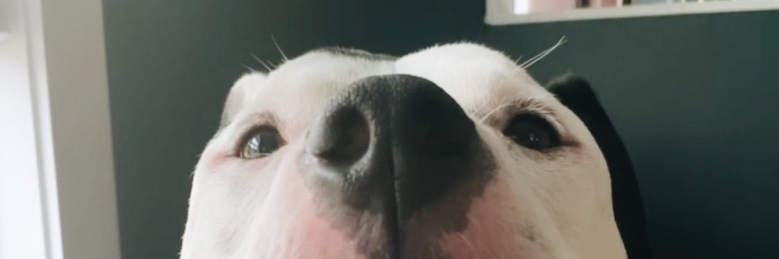 LeslieeAdamss's profile banner image