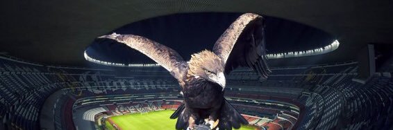 legcarmona's profile banner image