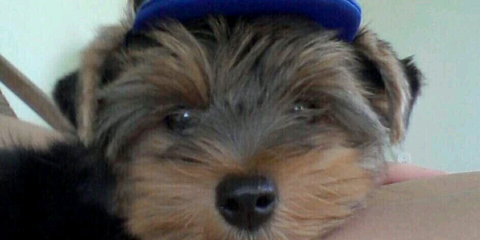 com K banner