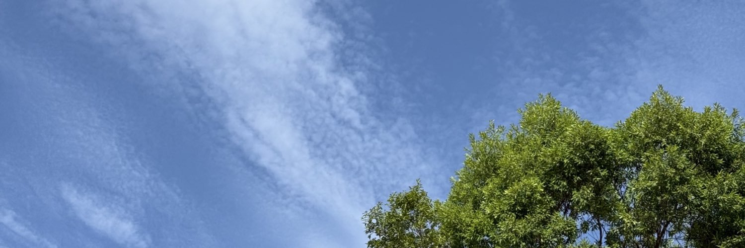 Grace Rios banner