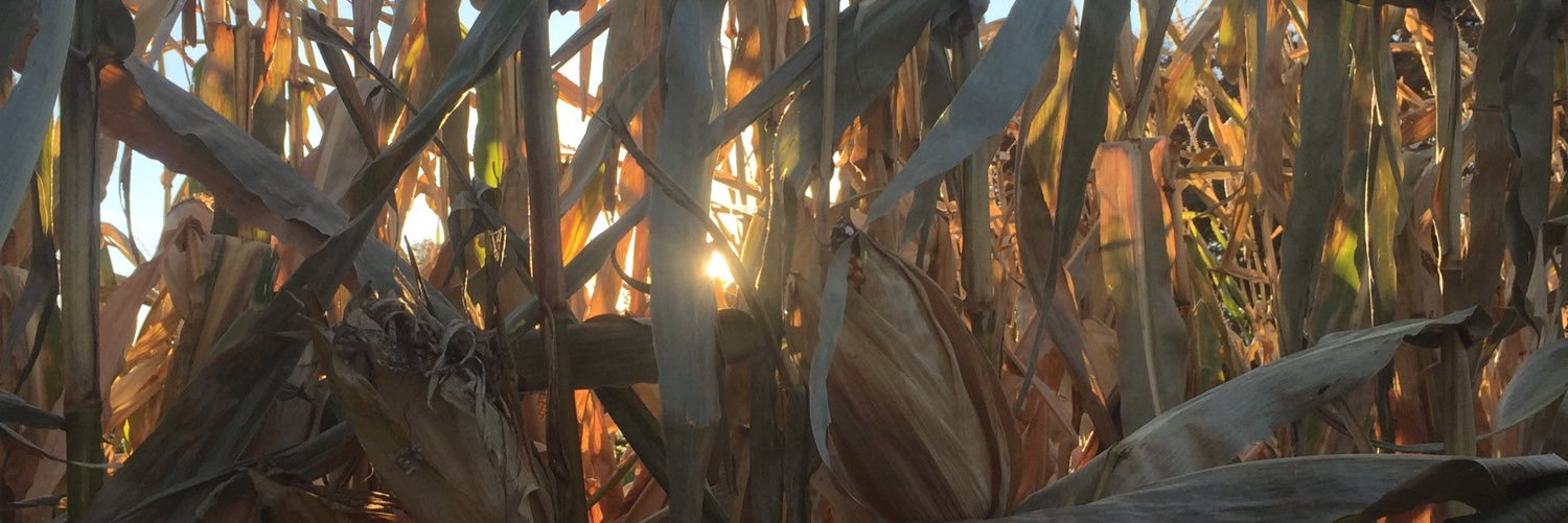 renfoster72's profile banner image