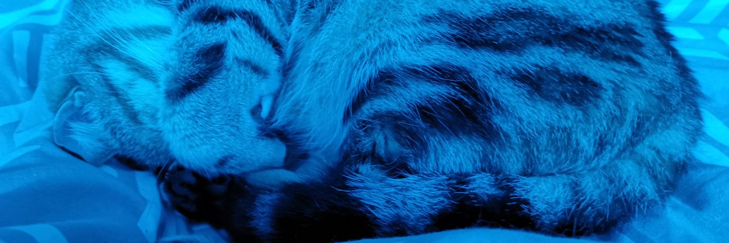 MissBobby66's profile banner image