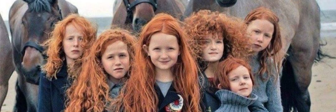 mackenrodtt's profile banner image