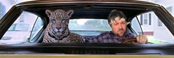 scottastley's profile banner image