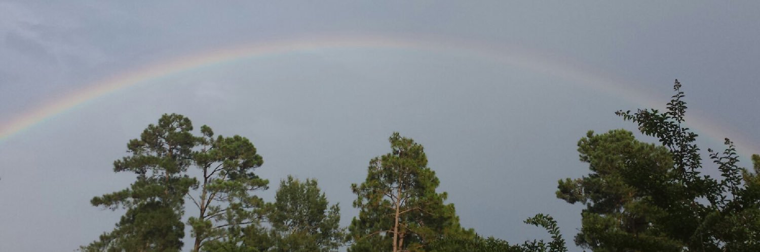 furrboots's profile banner image