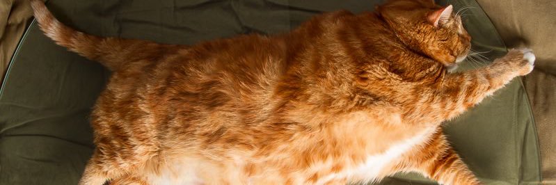 m_katet's profile banner image