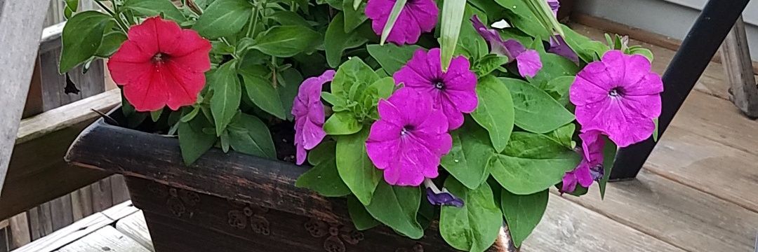 ambianceandmore's profile banner image