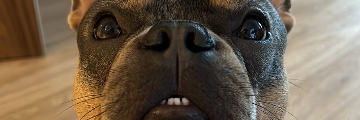 bradjoe8's profile banner image