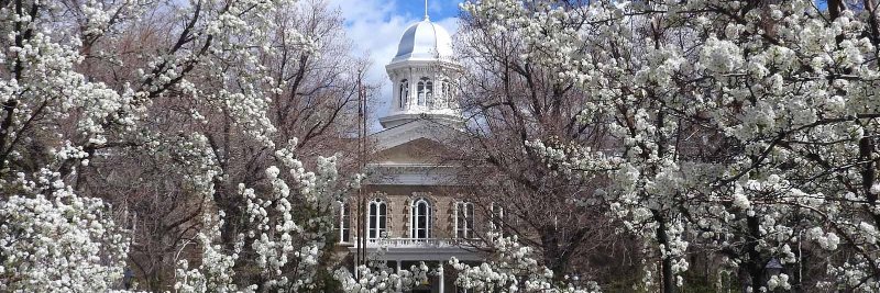 NV.gov (Nevada) banner