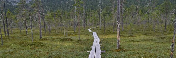 kjeldsh Profile Banner