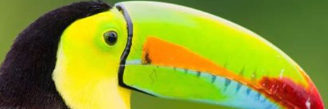 rodrigazo10's profile banner image