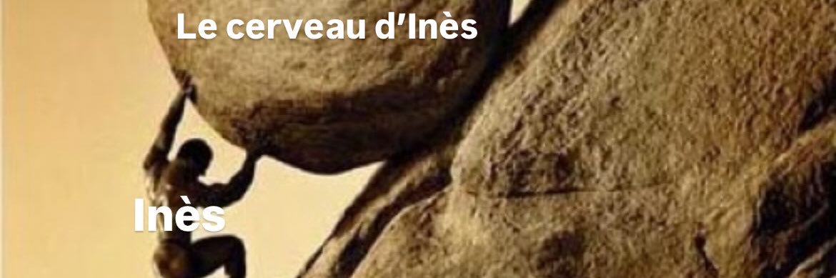 InesAptv's profile banner image