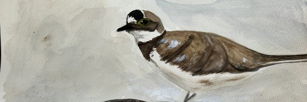 Entrefins58 Profile Banner