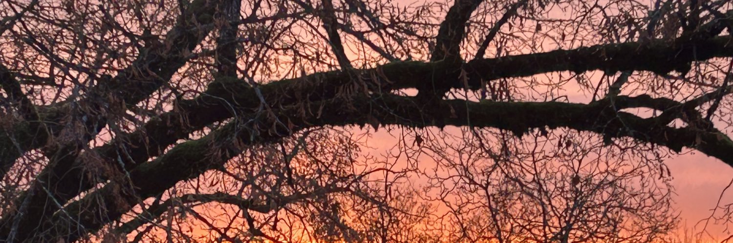 Claudie.Nivet banner