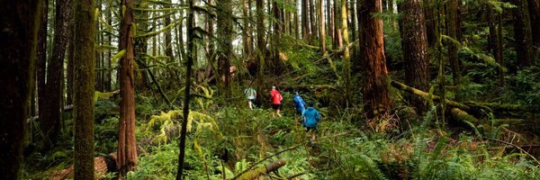 pdxAO Profile Banner