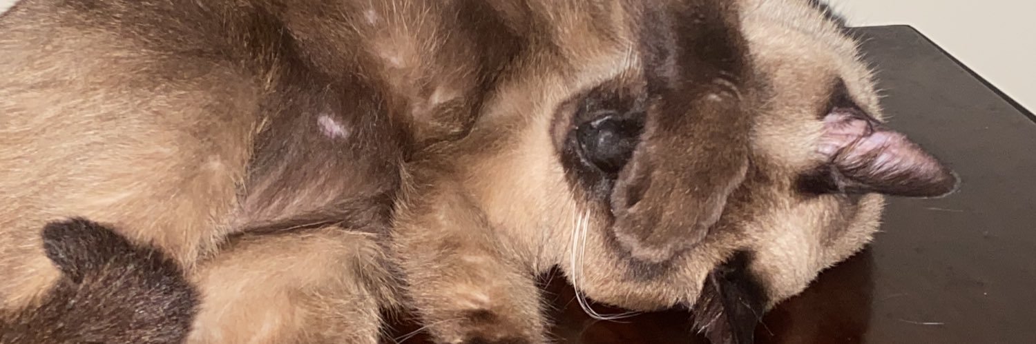 giovanelligi_'s profile banner image