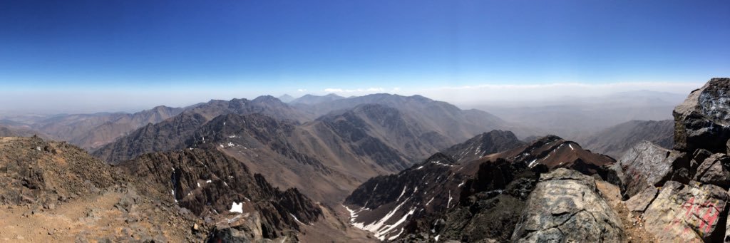 Robin Sheppard-Capurro banner