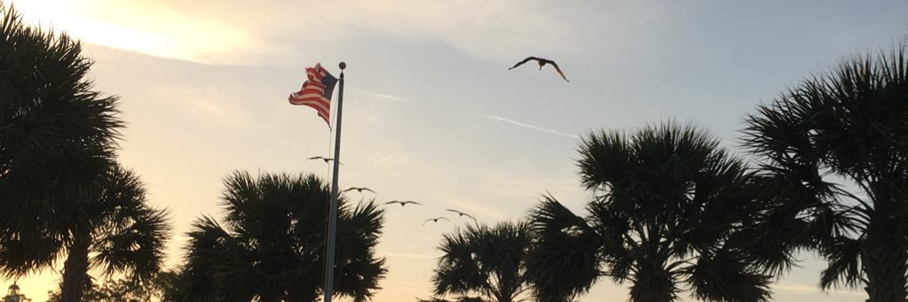 TiffanyJShort's profile banner image