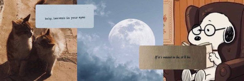 sciaron დ banner