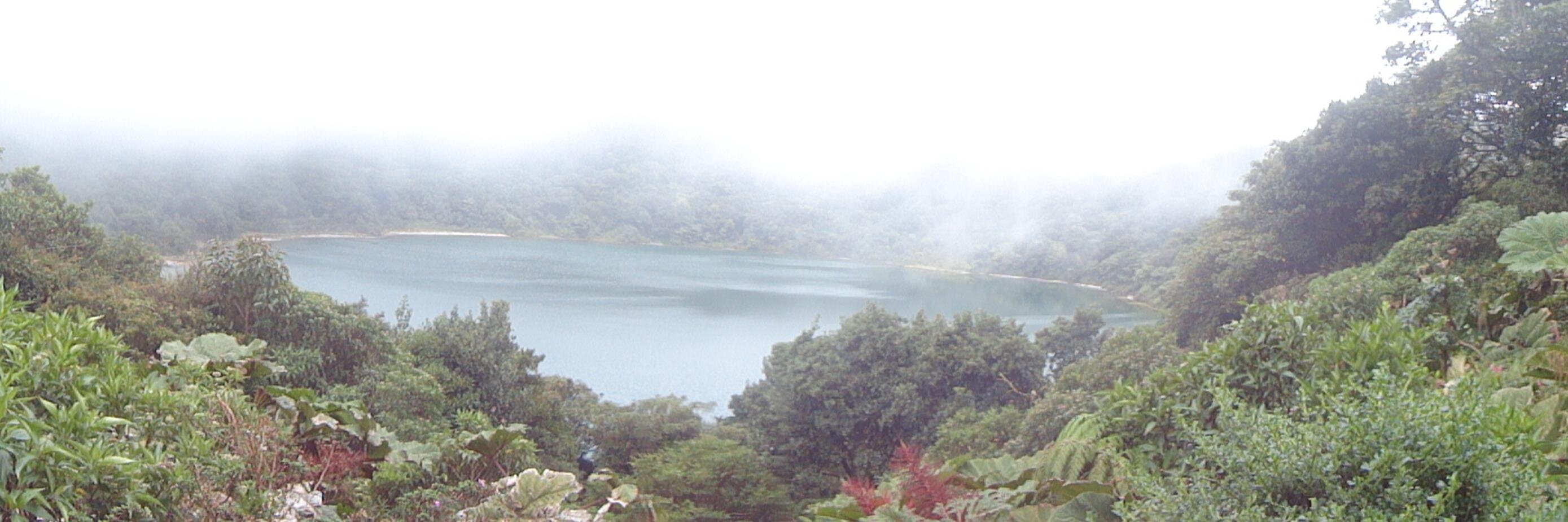sergio_elenes's profile banner image